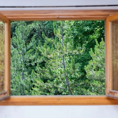 Esclusivo In Legno 3 & 2 Bagni, Centro Lägenhet Roccaraso