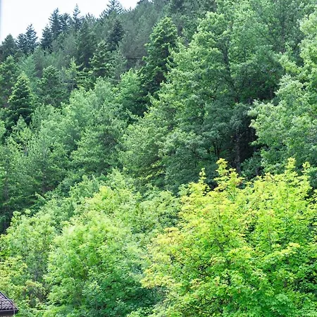 Esclusivo In Legno 3 & 2 Bagni, Centro Lägenhet Roccaraso