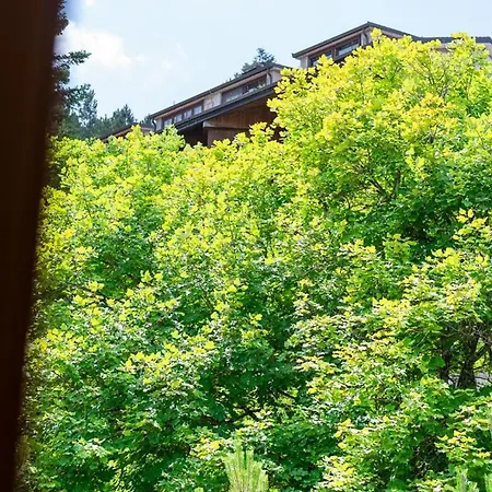 Sci A 10 Min! In Legno 3 & 2 Bagni, Centro Apartament *