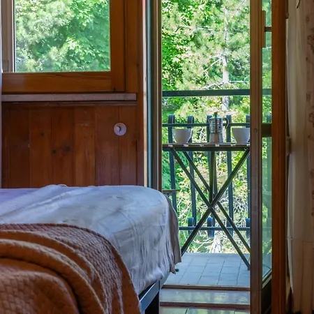 Lägenhet Esclusivo In Legno 3 & 2 Bagni, Centro Roccaraso