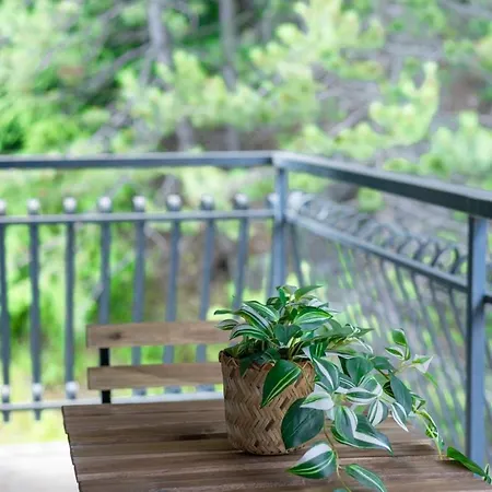 Sci A 10 Min! In Legno 3 & 2 Bagni, Centro *