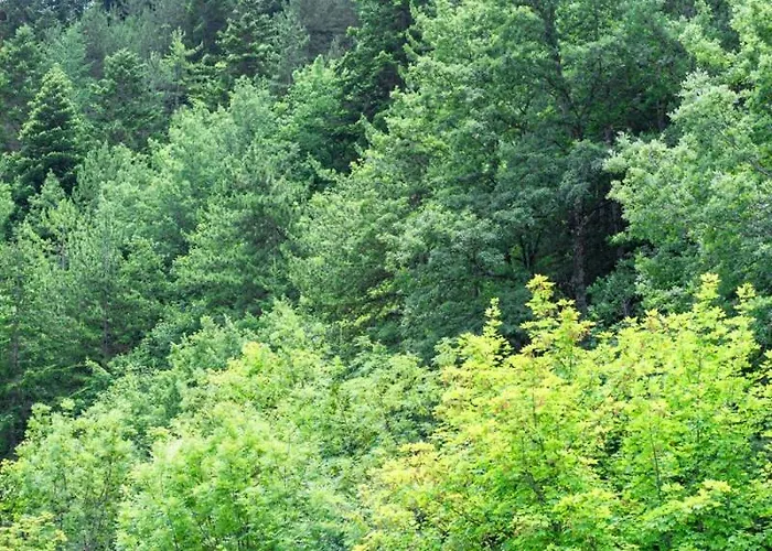 Sci A 10 Min! In Legno 3 & 2 Bagni, Centro Apartamento Roccaraso