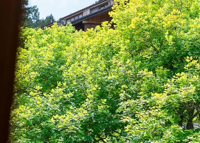 Sci A 10 Min! In Legno 3 & 2 Bagni, Centro Apartamento *